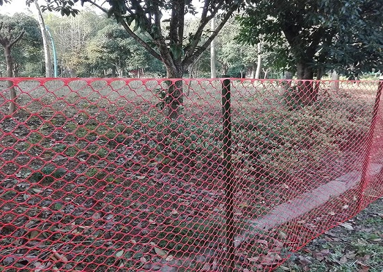 Este plasa din plastic pentru păsări soluția ideală pentru crescătorii de păsări?